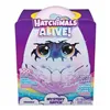Playset Spin Master Draggle Hatchimals Alive Secret Hatch