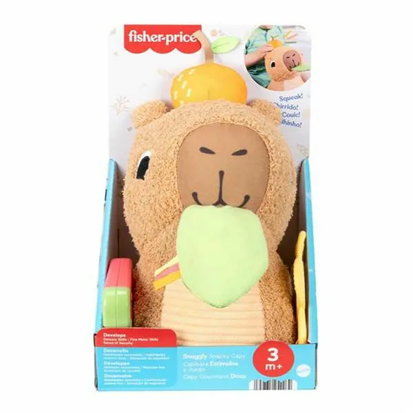 Educational Baby Game Fisher-Price 16 x 19 x 25 cm