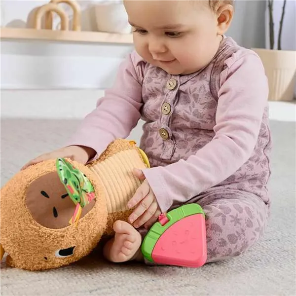 Educational Baby Game Fisher-Price 16 x 19 x 25 cm