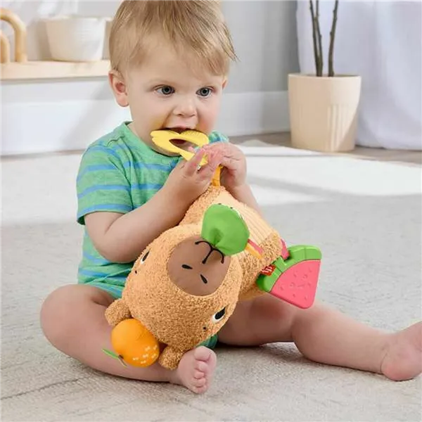 Educational Baby Game Fisher-Price 16 x 19 x 25 cm