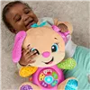Musical Toy Fisher-Price JFD31