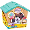 Fluffy toy Moose Toys Orange Dog Multicolour Plush Dog