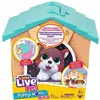 Fluffy toy Moose Toys Orange Dog Multicolour Plush Dog