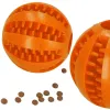 Koiran purulelu Springos PA0291