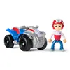 Action Figure The Paw Patrol