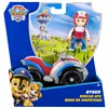 Action Figure The Paw Patrol