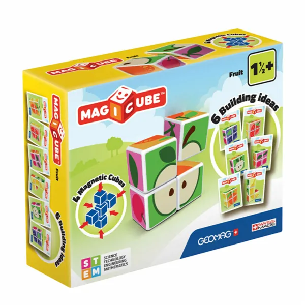 Educational Game Geomag