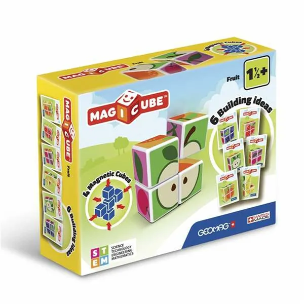 Educational Game Geomag