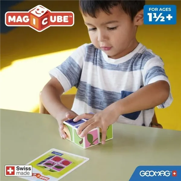 Educational Game Geomag
