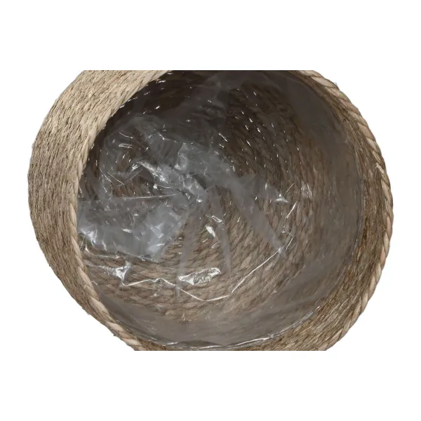 Kasvit Home ESPRIT Ruskea