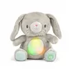 Fluffy toy Ingenuity