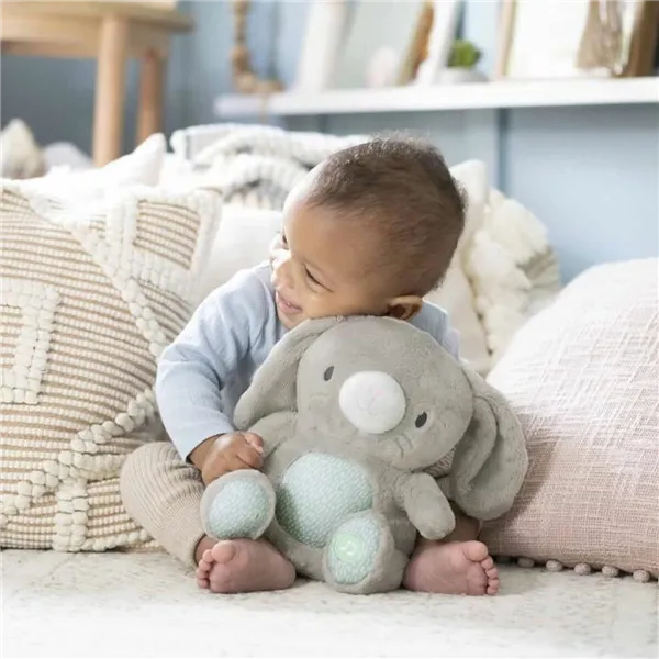 Fluffy toy Ingenuity