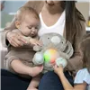 Fluffy toy Ingenuity
