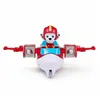 Action Figure Spin Master