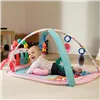 Play mat Baby Einstein
