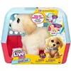 Fluffy toy Little Live Pets Multicolour