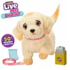 Fluffy toy Little Live Pets Multicolour