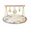 Play mat Ingenuity WonderWood 81,3 x 81,3 x 47 cm Multicolour