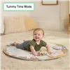Play mat Ingenuity WonderWood 81,3 x 81,3 x 47 cm Multicolour