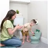 Potty Ingenuity Green