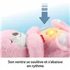 Fluffy toy Fisher-Price Pink Plastic