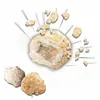 Board game SES Creative Explore Geodes 21 x 7 x 16 cm