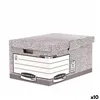 File Box Fellowes    Grey 10Units (31 x 39 x 56 cm)