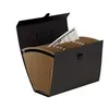 Organiser Folder Fellowes    Accordeon Black (25 x 36,2 x 12,4 cm)
