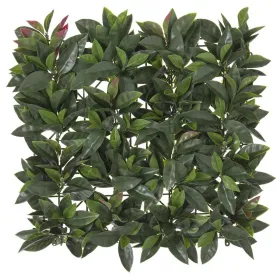 Aita   Laurel 50 x 50 x 2 cm