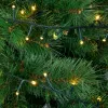 LED žibintų vainikas 5 m