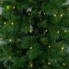 LED-tulede Pärg Cálido 5 W
