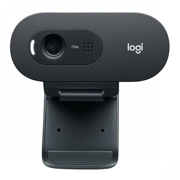 Webcam Logitech C505e Black