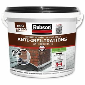 Paint Rubson 4 Kg