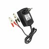Battery Charger Pastormatic 4131996esp Replacement