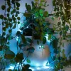 LED gaismu vītne Muvit iO 5 m