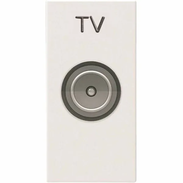 TV lizdo modulis