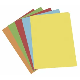 Subfolder Gio 400040673 A4 Multicolour (50 Units)