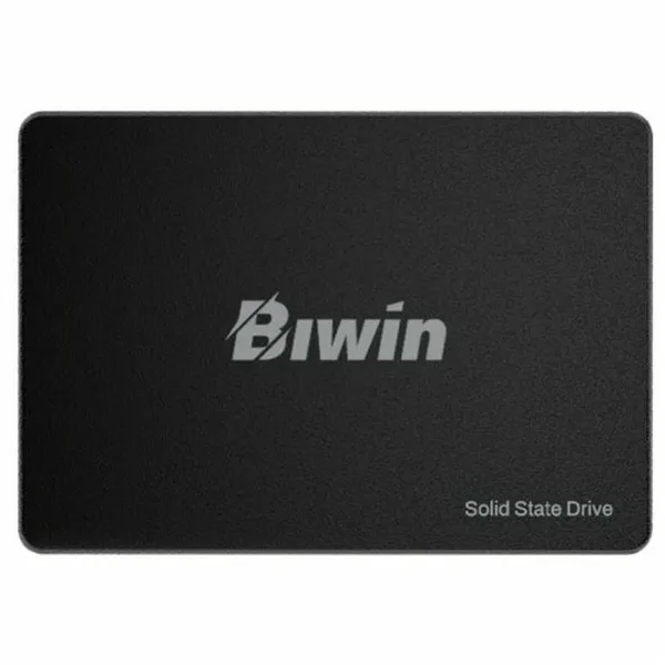 Hard Drive Biwin M100 256 GB SSD
