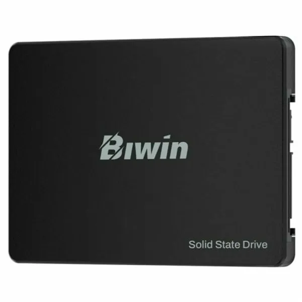 Hard Drive Biwin M100 256 GB SSD