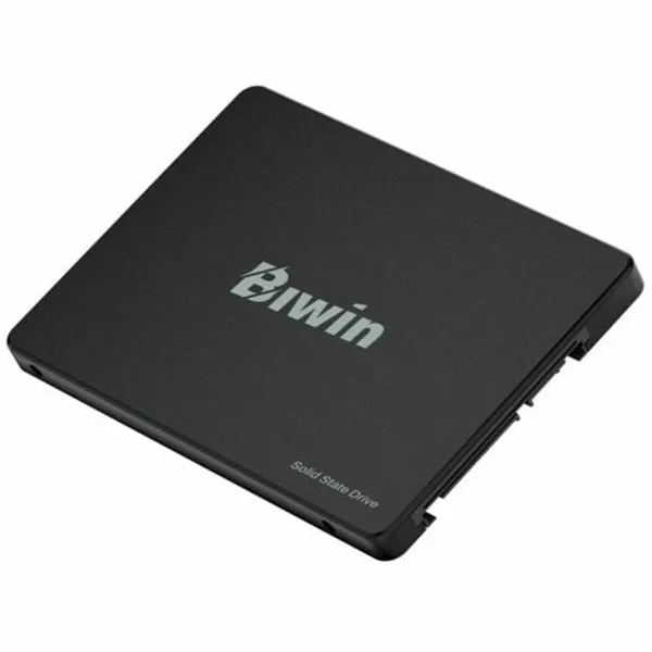 Hard Drive Biwin M100 256 GB SSD