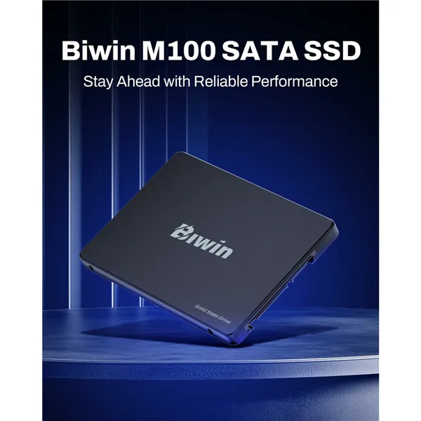 Hard Drive Biwin M100 256 GB SSD