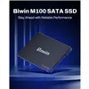 Hard Drive Biwin M100 256 GB SSD