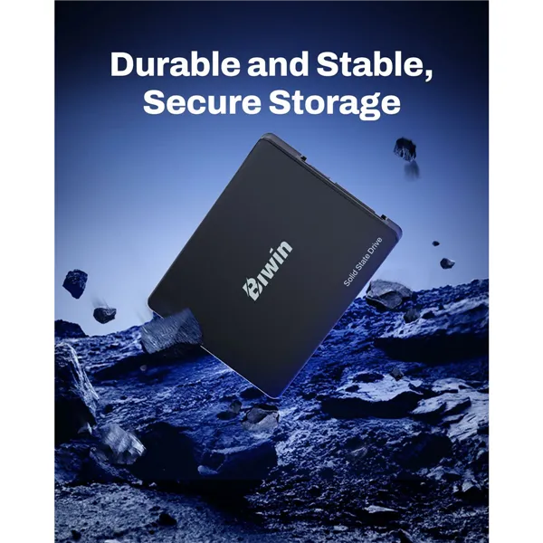 Hard Drive Biwin M100 256 GB SSD
