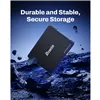 Hard Drive Biwin M100 256 GB SSD
