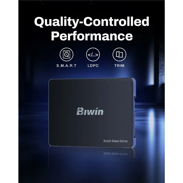 Hard Drive Biwin M100 256 GB SSD