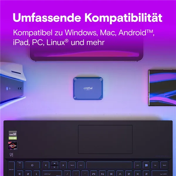 External Hard Drive Crucial X10 SSD 2 TB HDD