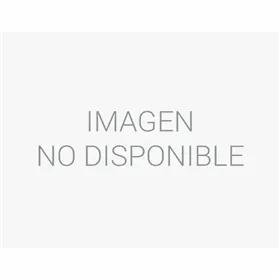 Laptop Lenovo V15 G4 AMN 82YU0168SP AMD Ryzen 5 7520U Spanish Qwerty