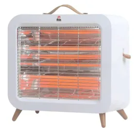 Radiaator Grupo FM EV-700 700 W