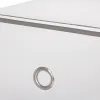 Kurpju kaste ar atvilktni Springos HA3002, 28x18x18 cm, caurspīdīgs organizators