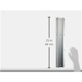 Smidzināma krāsa Pintyplus Auto L150 Riņš 400 ml Sudrabains